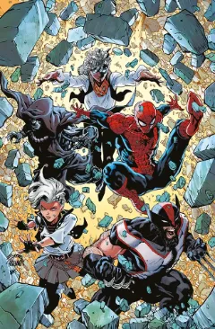 Volume cover
